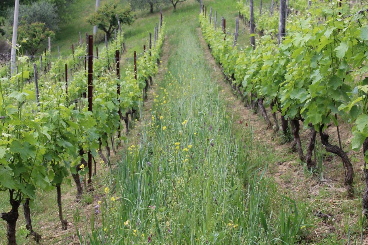 Cossano Belbo Agriturismo La Rovere מראה חיצוני תמונה