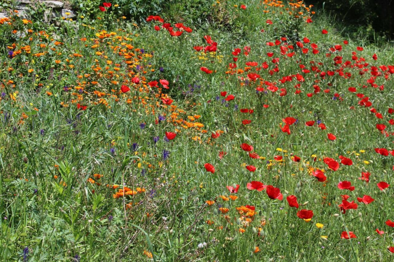 Cossano Belbo Agriturismo La Rovere מראה חיצוני תמונה