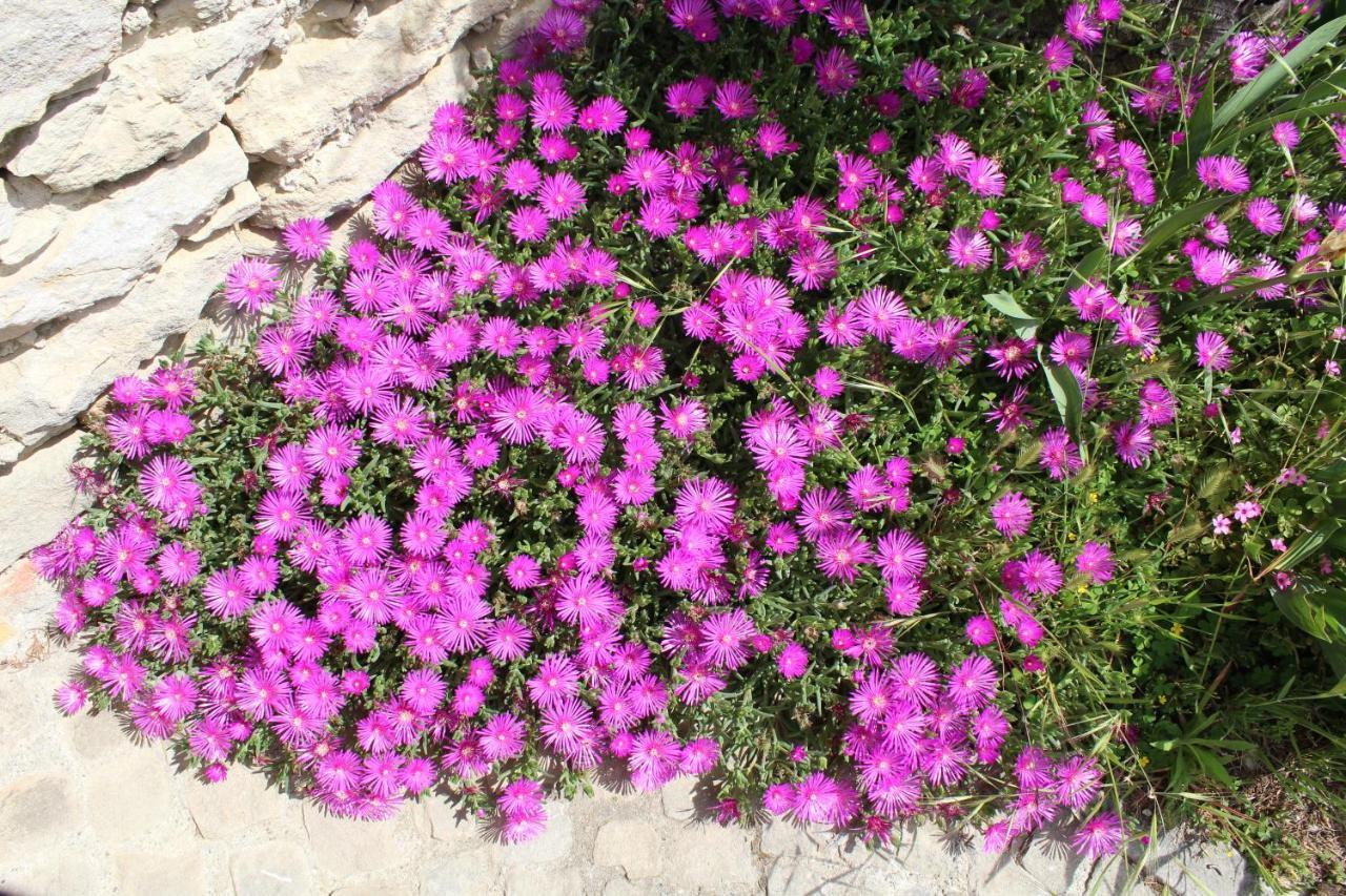 Cossano Belbo Agriturismo La Rovere מראה חיצוני תמונה